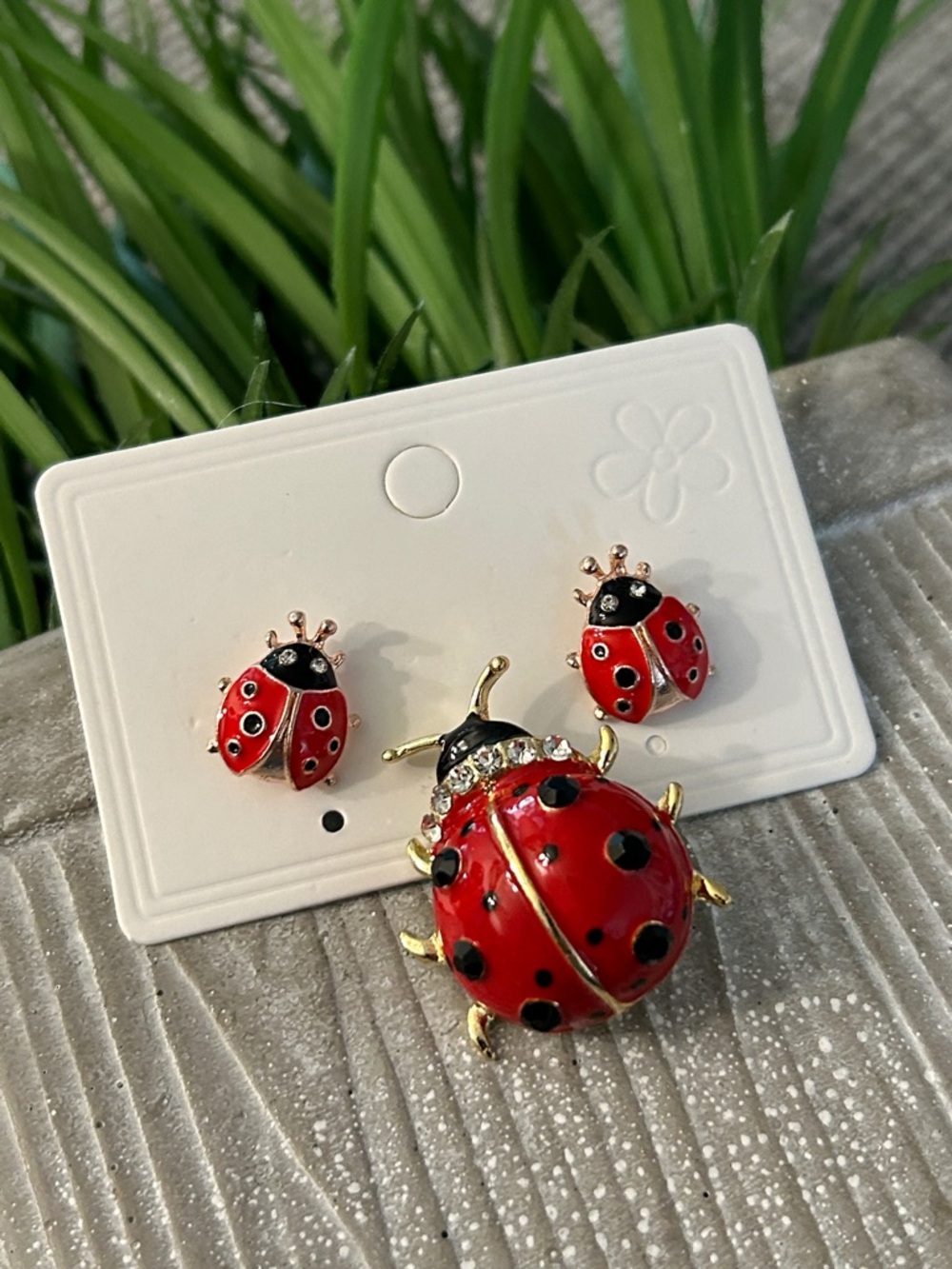 Ladybug Brooch and Earrings Set NEW stud earrings and enamel pin